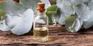 Aceite de eucalipto