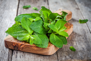Menta