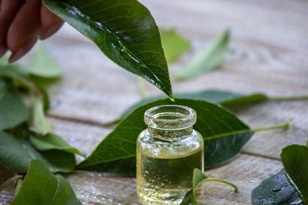Aceite de árbol de té